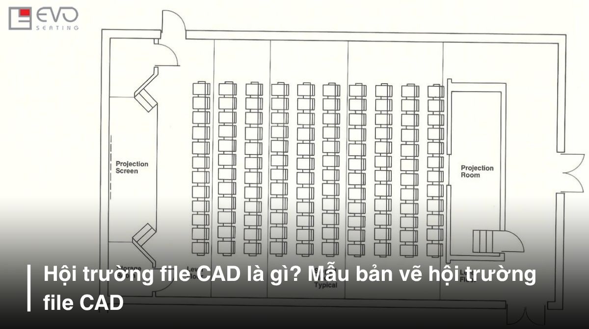 hoi truong file cad 1